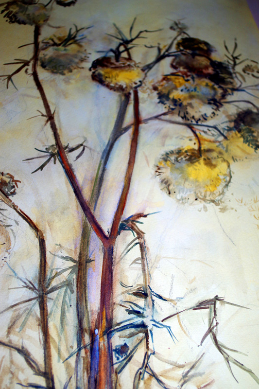 Pflanzen und Blüten